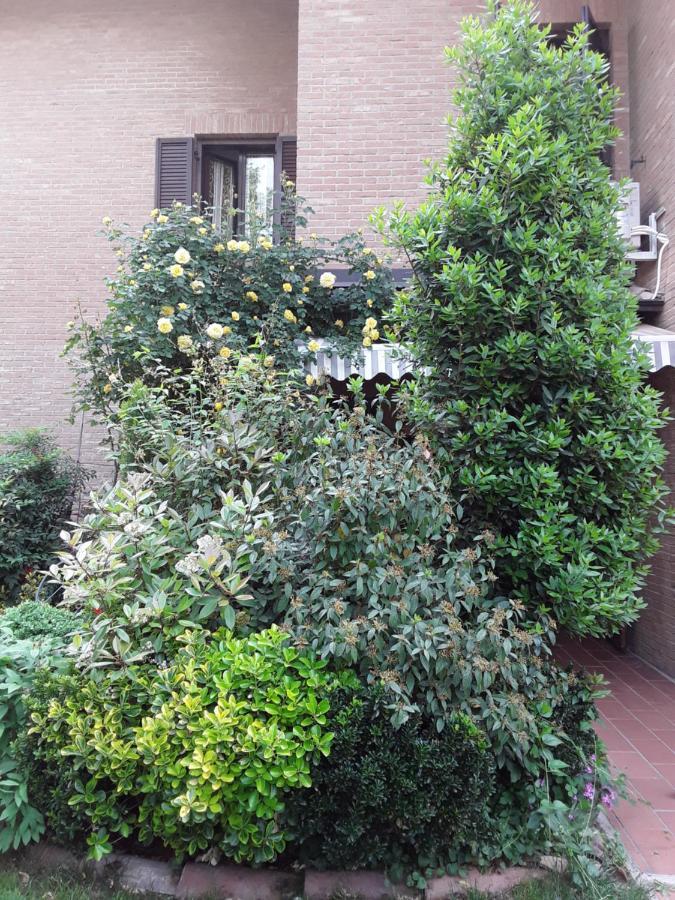 B&B La Rosa Gialla Maranello Ngoại thất bức ảnh