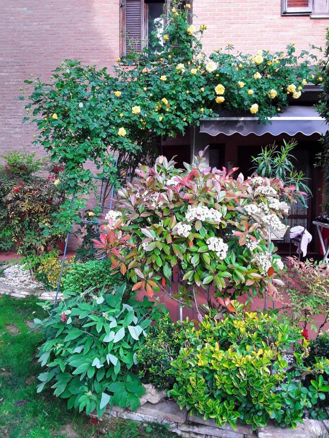 B&B La Rosa Gialla Maranello Ngoại thất bức ảnh