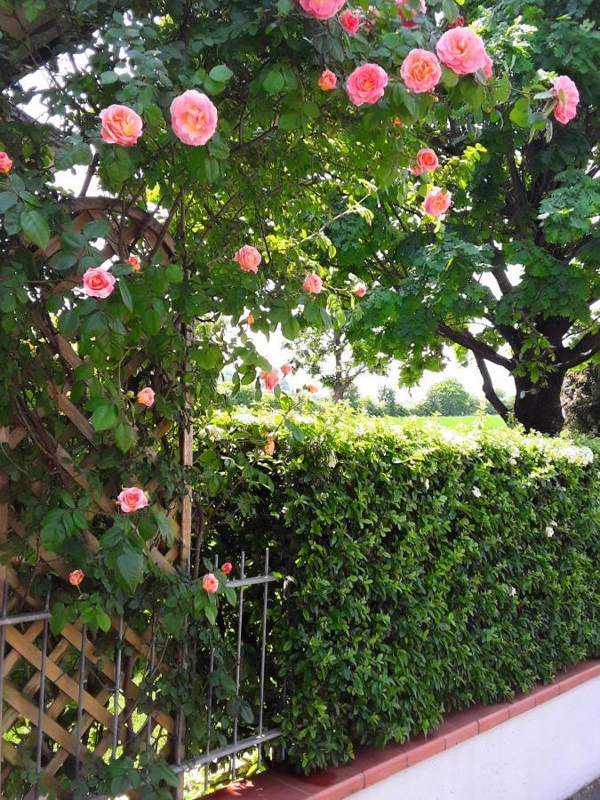 B&B La Rosa Gialla Maranello Ngoại thất bức ảnh
